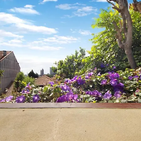 Appartamento - -1 Oporto